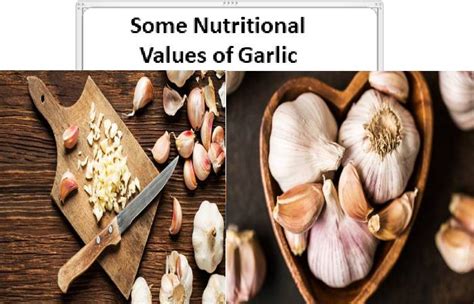 Garlic Definition Benefits Types Nutritional Value And More