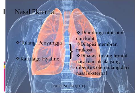 Nursing Project Anatomi Dan Fisiologi Sistem Respirasi