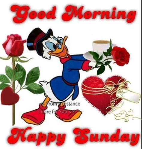 Happy Sunday Good Morning Pictures Photos And Images For