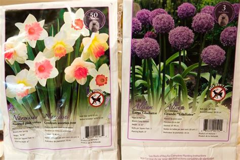 Garden Cranes Costco | Fasci Garden They are quirky, eclectic, individual and.