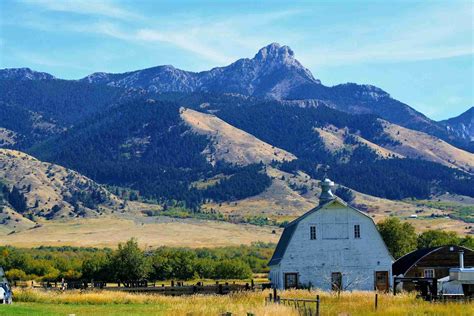 Properties For Sale Near Cremona Alberta at Justin Hirt blog