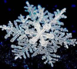Fractal Snowflake Geometry In Nature Sacred Geometry Snowflake Images