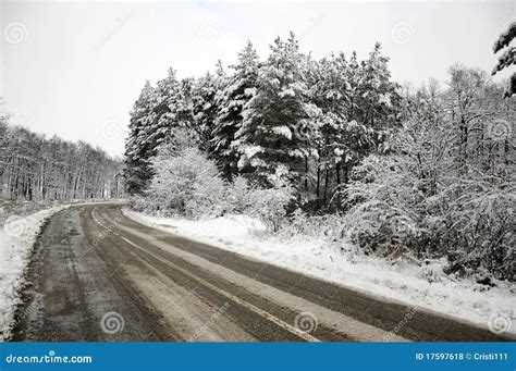 Plowed Curved Road Through Snowy Forest Stock Photo Image Of Drive