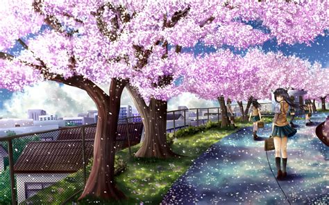 70 Sakura Background On Wallpapersafari