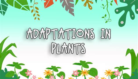 Adaptation In Plants Online Science Notes