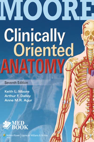 Moores Clinically Oriented Anatomy 7ed 2014 Medical Books