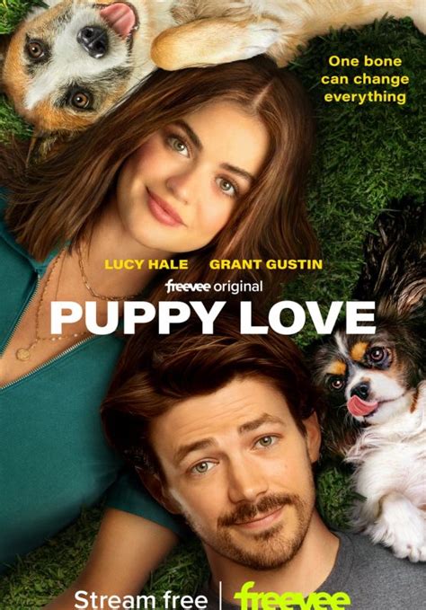 Lucy Hale Puppy Love 2023 Poster And Photos Celebmafia