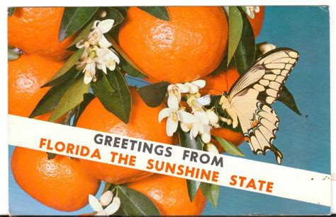1973 Postmarked Postcard Greetings From Florida The Sunshine State Fl