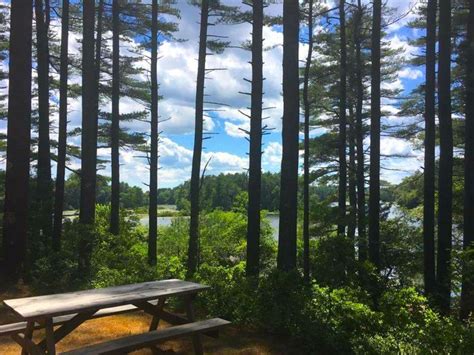 Pinewood Lodge Is A Great Log Cabin Campground In Massachusetts