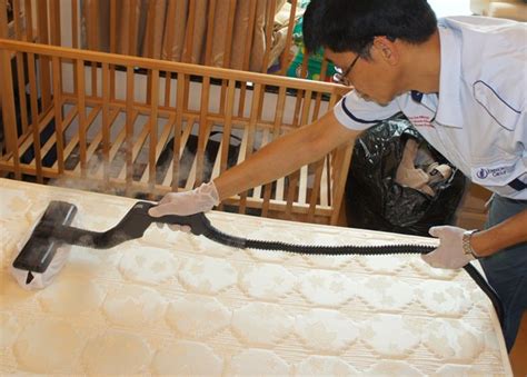 That's because in order to kill the bed bugs via this method, you need to get the. How to Kill Bed Bugs Using Steamer?