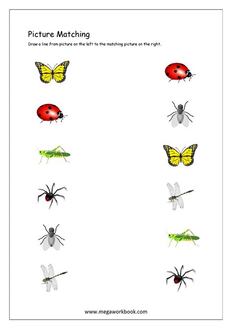 Picture Matching Worksheet - Insects Themed | Insects theme preschool