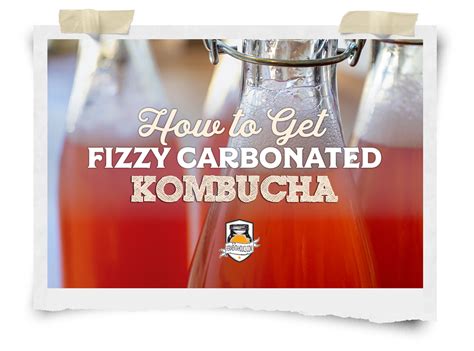 get fizzy kombucha your ultimate how to guide