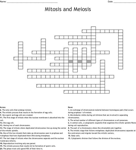 Two separate answer sheets are associated with each passage. Mitosis and Meiosis Crossword - WordMint
