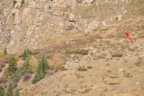Bigfoot Seen Hiking In Colorado In New Video
