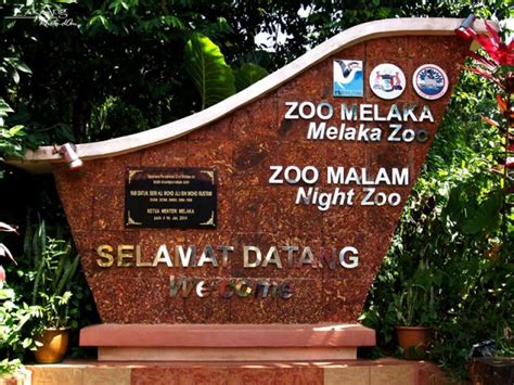 The video is a small snipet of the whole zoo. Melaka Zoo, One of the World's Best - Cush Travel Blog