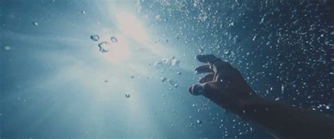 You'll need to give nectar to each of them in order to build a relationship, sometimes face them in battle or a challenge, complete a favor for them, then give them ambrosia. If BTS are drowning in water which member would you save (you only could save one)? - Quora