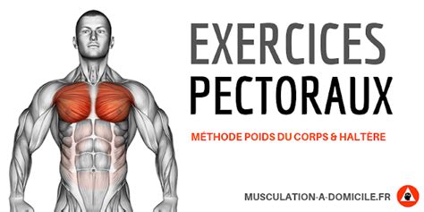 Exercices Musculation Pectoraux Exercice Musculation Pectoraux