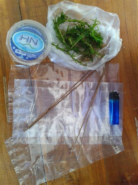 Laporan Praktikum Pembiasan Cahaya - Laporan Praktikum Perkecambahan