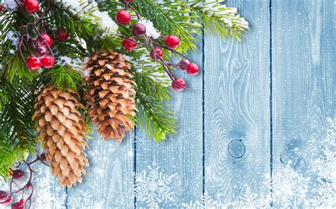 Check spelling or type a new query. Christmas Tree Branch Mistletoe Desktop Wallpaper
