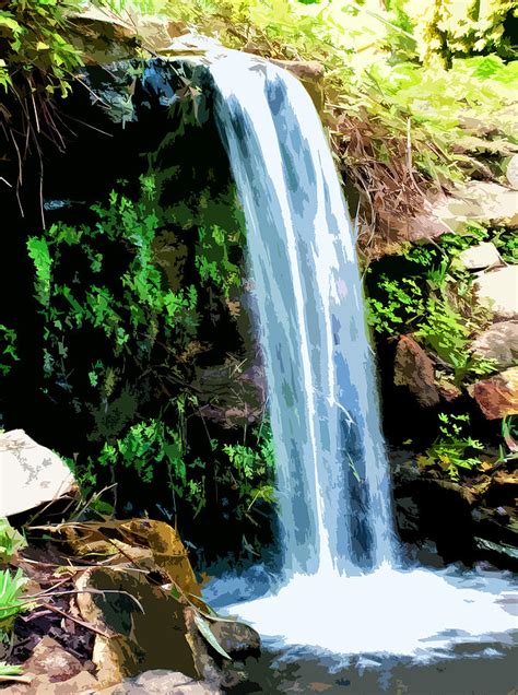 But before we start, let me tell you something interesting. Tropical Waterfall And Pond Digital Art by Phill Petrovic