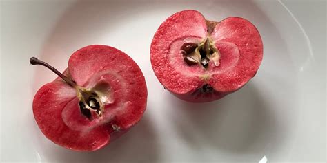 Red Fleshed Apples Crispr And Shameless Hype