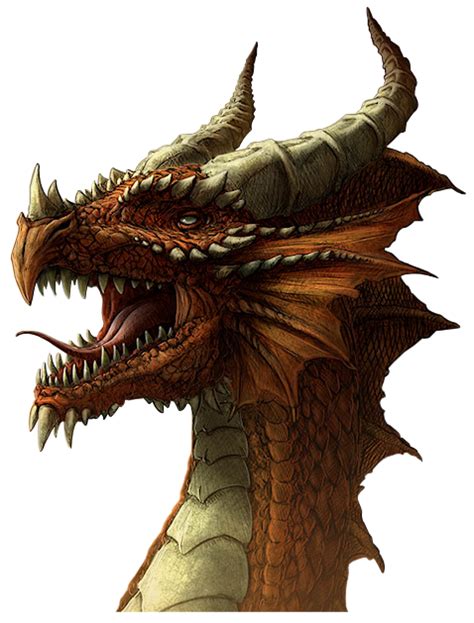 drago