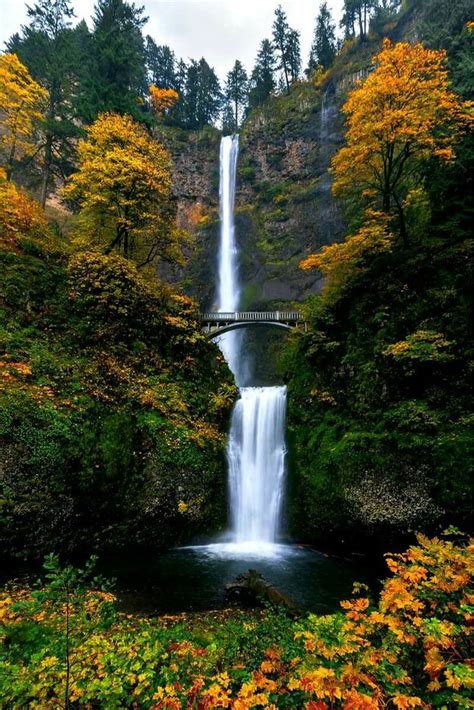Multnomah Falls Columbia River Gorge Oregon Usa Visit Oregon