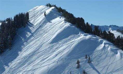 The Ultimate Ski Guide To Utah Resort Ski Skiing Travel Utah