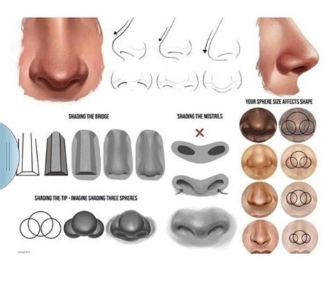 Steps to contour a big nose. Nose contouring | Makeup & Beauty | Pinterest