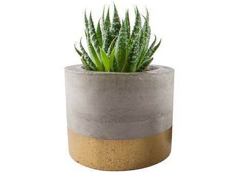 Gold | pots & planters. Paint dipped concrete planter pot - gold | Felt