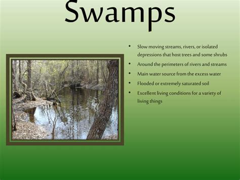 Ppt Wetlands Powerpoint Presentation Free Download Id2105711