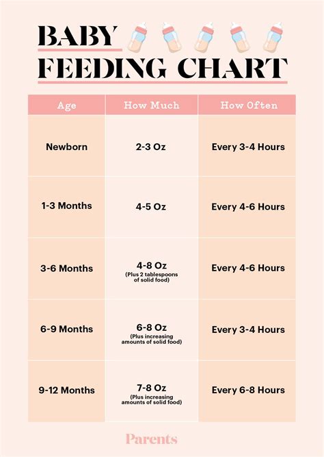7 Month Feeding Chart
