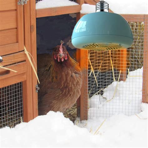 Hanging Chicken Coop Heater Instant Warm Brooder Heating