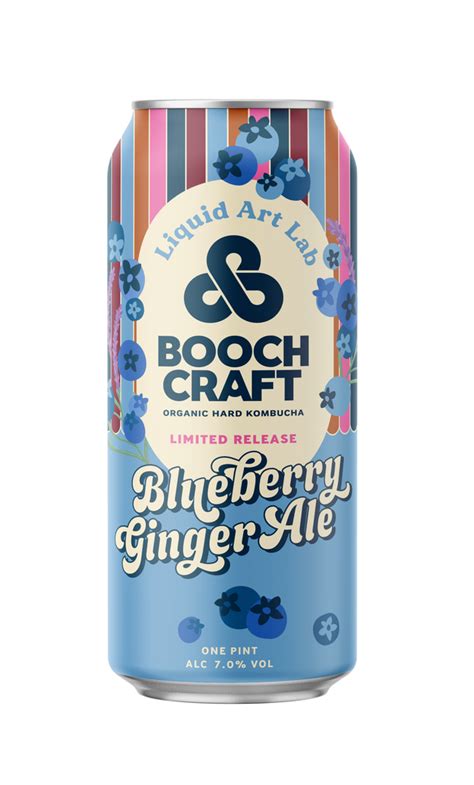 Blueberry Ginger Ale 16oz Can Case 18 Cans Boochcraft