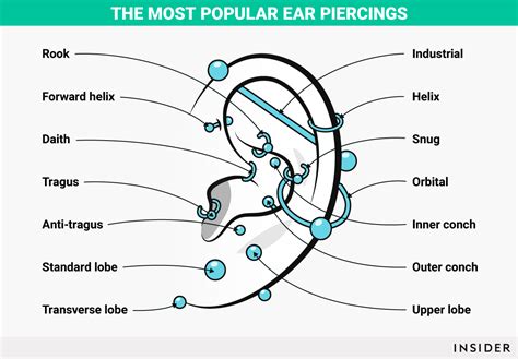 The Best Ear Piercings To Get Business Insider