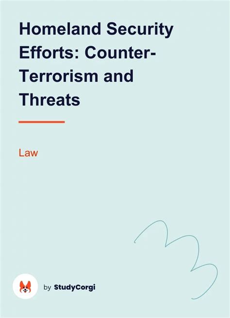 Homeland Security Efforts Counter Terrorism And Threats Free Essay