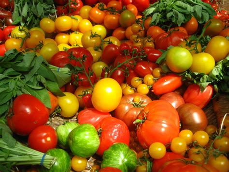 Michigan Tomatoes The Six Varieties You Need To Taste A Healthier