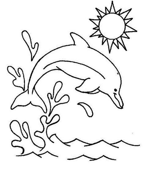 dolphin splash jump   air coloring page  print  coloring pages