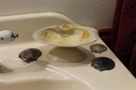 Seashell Soap Dish Dish Soap Sea Shells Etsy