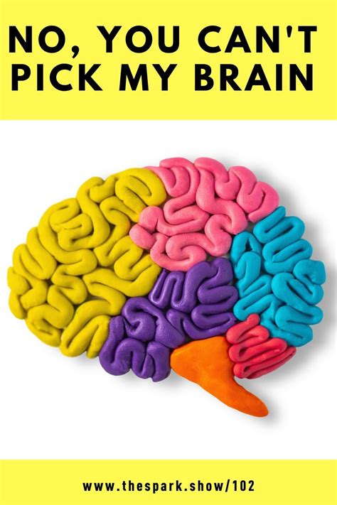 No You Cant Pick My Brain