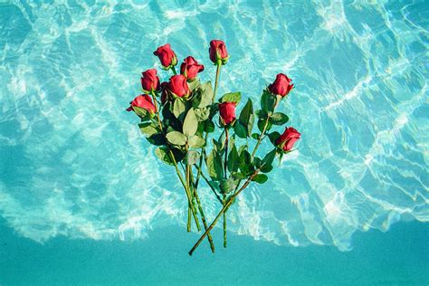 3840x2160px Free Download Hd Wallpaper Red Roses On Teal