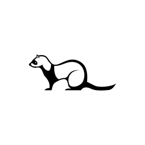 Best Weasel Illustrations Royalty Free Vector Graphics And Clip Art Istock