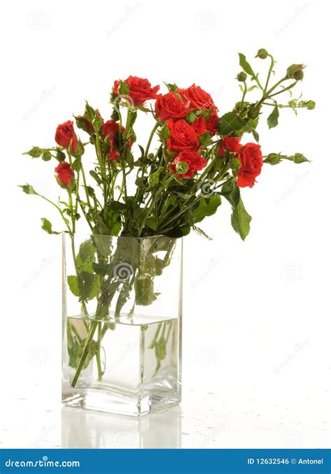A Bunch Of Red Roses Stock Photo Image Of Elegance Harmony 12632546