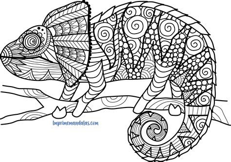 Ver más ideas sobre mandalas animales, mandalas, mandalas para colorear. Mandalas Para Colorear Animales Pdf | Dibujos I Para Colorear