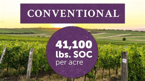 Bonterra Organic Vineyards Pioneers Wine Industry Research Highlighting