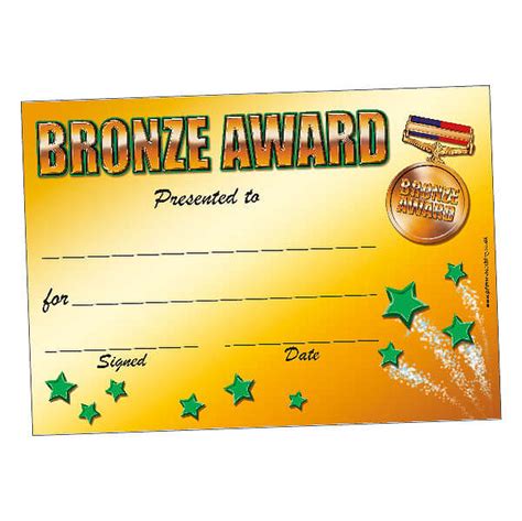 20 Bronze Award 3rd Place School Teacher Childrens Reward Certificates