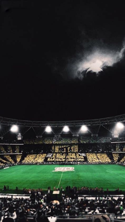 أخبار الاتحاد الآسيوي لكرة القدم. خلفيات الاتحاد - بنات كيوت