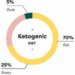 Keto Diet Protein Chart Fat Pie Percentage