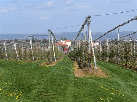 Alles über den immobilienmarkt, entwicklung der immobilienpreise & wohnumfeld. Obstplantagen und romantische Gründe am Rande der ...