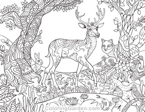 Forest Coloring Pages For Adults At Getdrawings Free Download